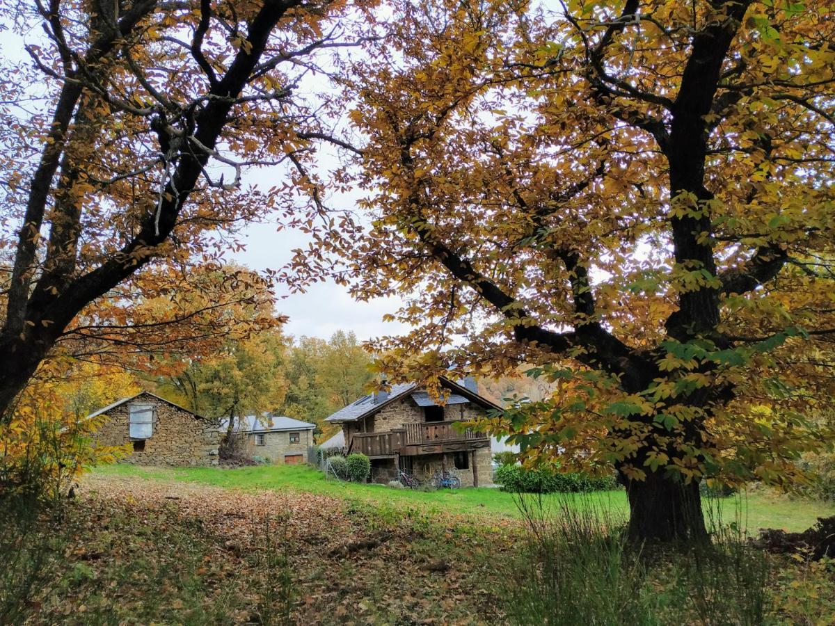 La Era De Sanabria Villa Villarino de Sanabria Eksteriør billede