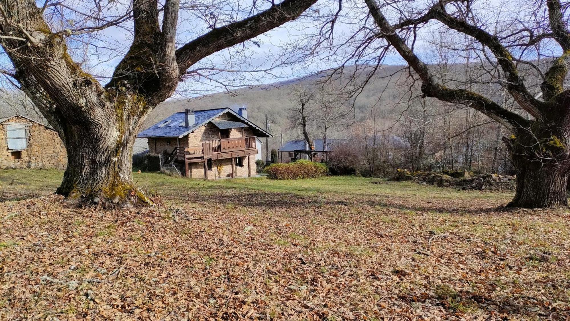 La Era De Sanabria Villa Villarino de Sanabria Eksteriør billede