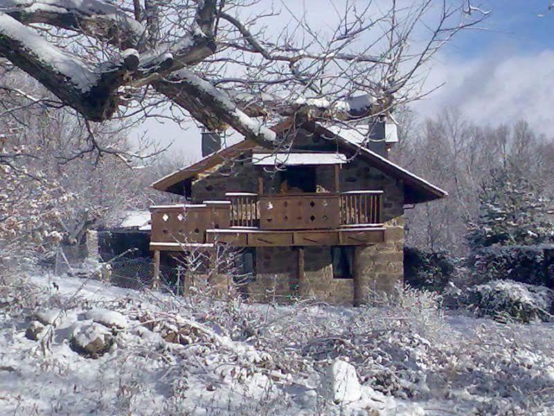 La Era De Sanabria Villa Villarino de Sanabria Eksteriør billede