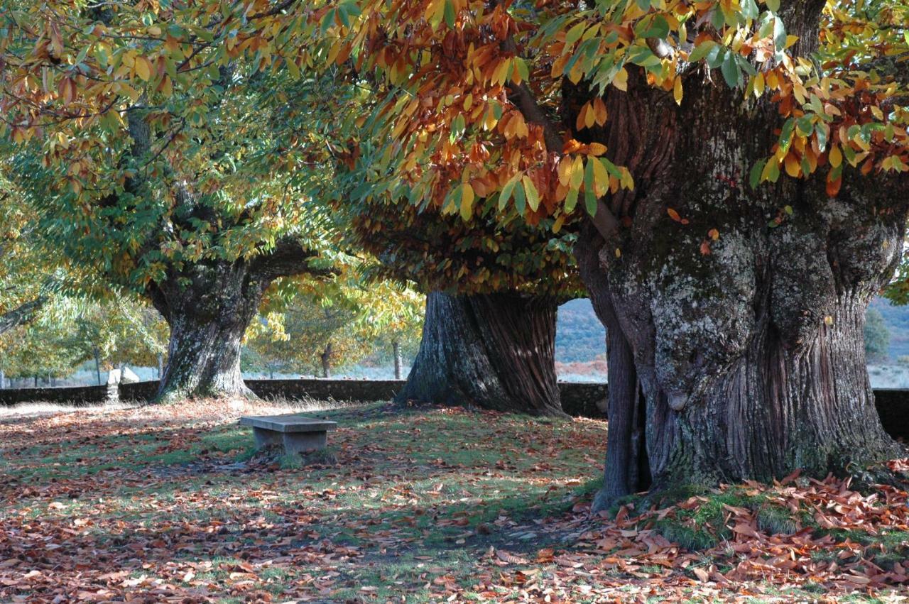 La Era De Sanabria Villa Villarino de Sanabria Eksteriør billede