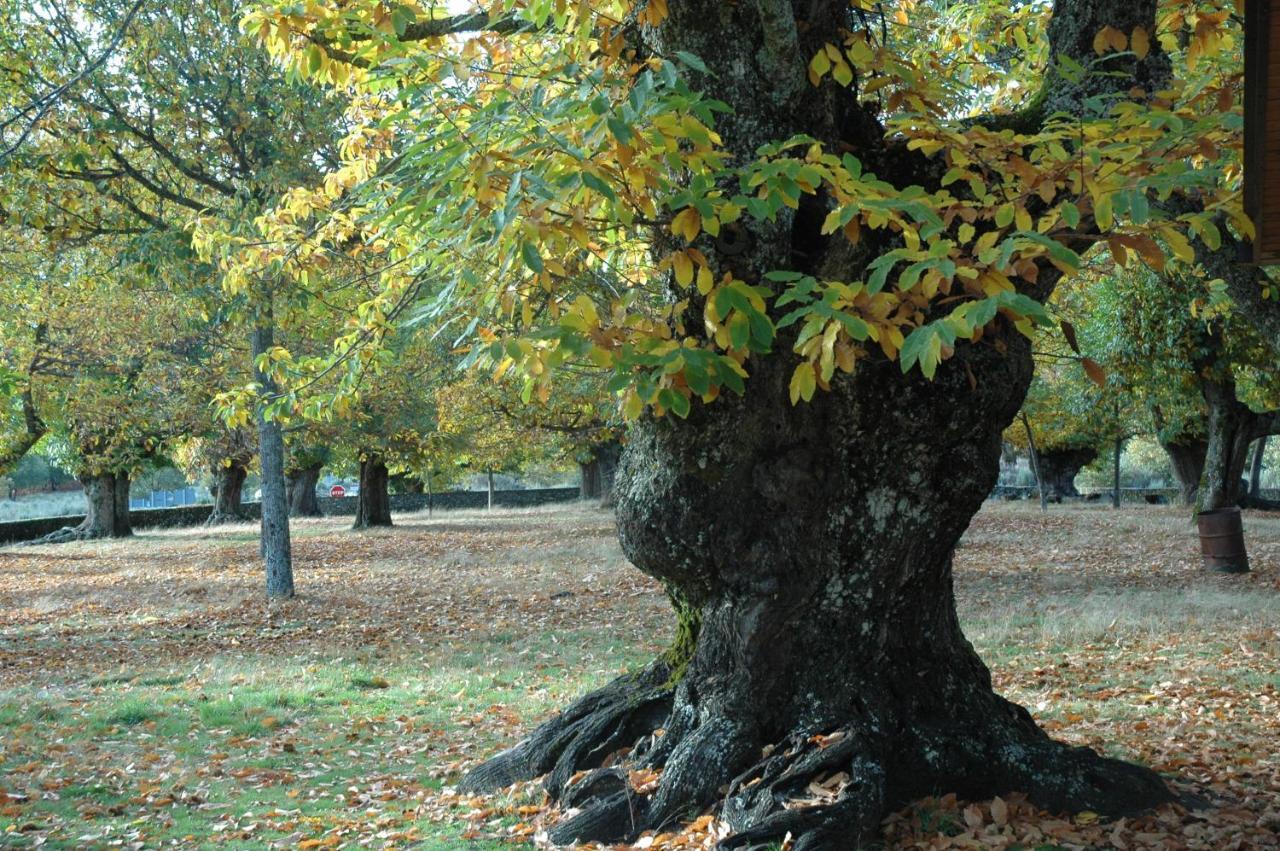 La Era De Sanabria Villa Villarino de Sanabria Eksteriør billede